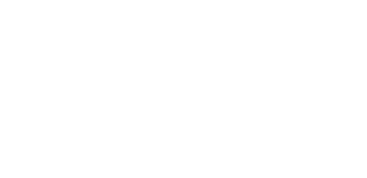 logoplane.png